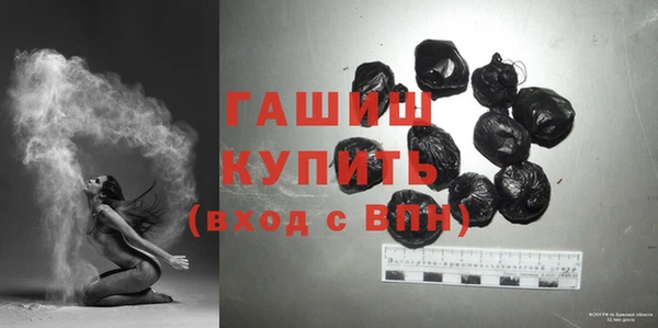 МДПВ Бородино