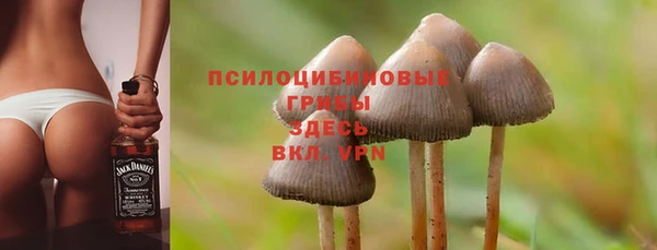 хмурый Богданович
