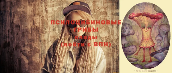 МДПВ Бородино