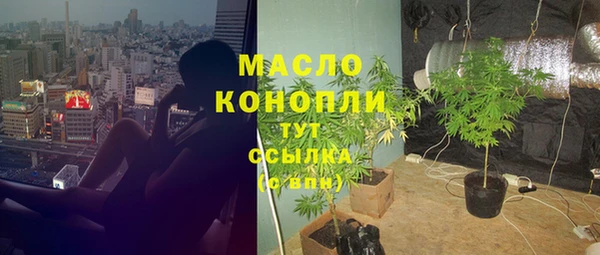 2c-b Богородицк