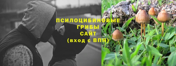 2c-b Богородицк
