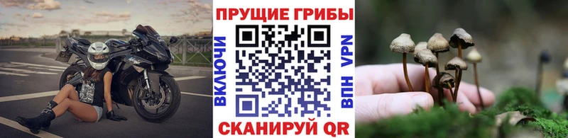 Псилоцибиновые грибы ЛСД Усть-Джегута